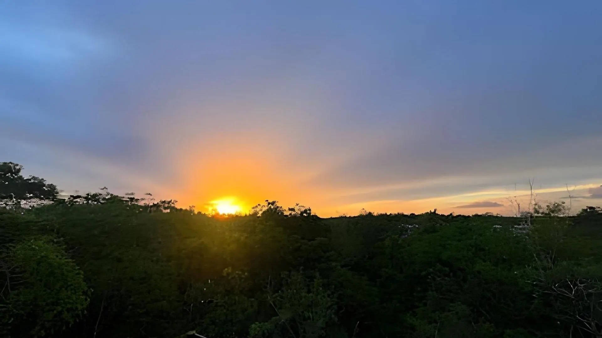 Jungle Retreat Selva Pixan Tulum Villa Mexico