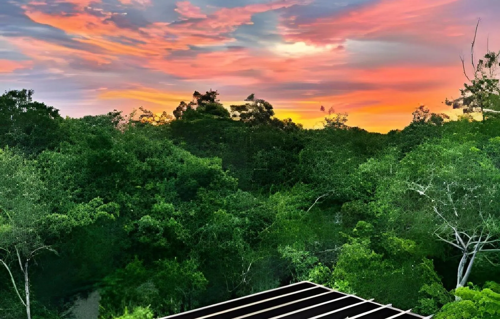 Jungle Retreat Selva Pixan Tulum Villa